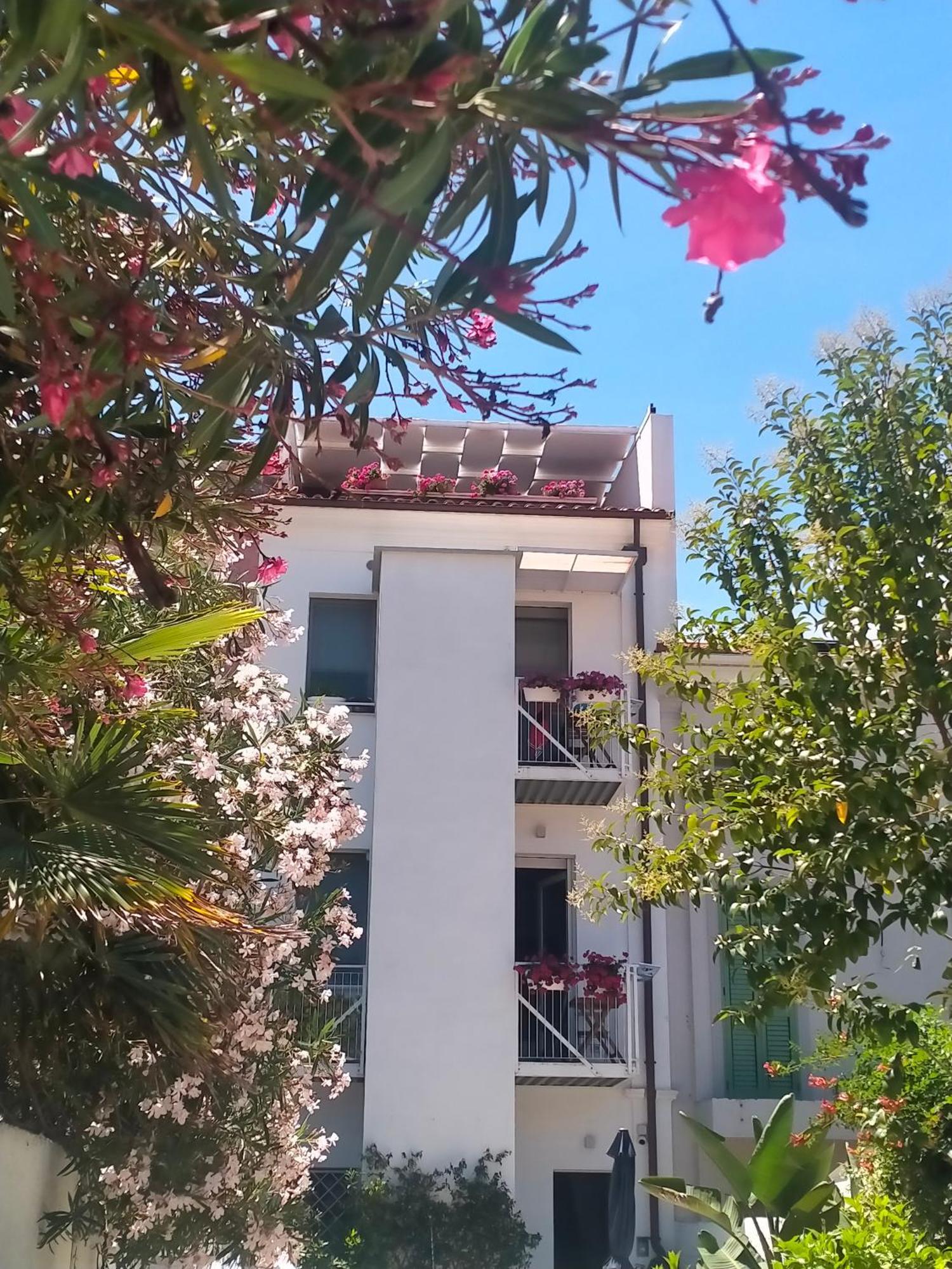 تْشيفيتانوفا ماركي B&B Previsto Sole المظهر الخارجي الصورة